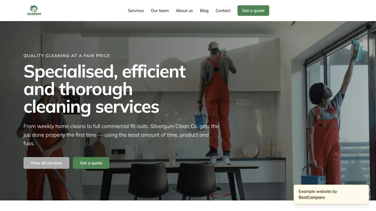 Silvergum Clean Co. fictional demo website homepage screenshot
