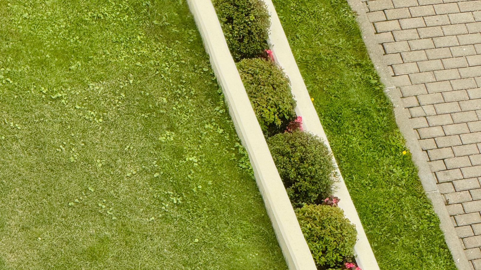 Aerial view of a landscaped lawn with a planted garden border and paved path